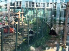 -大连森林动物园