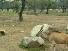 -西安秦岭野生动物园