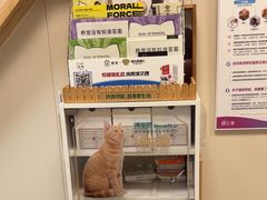 -美联众合爱康动物医院•复杂内科•肿瘤科•牙科•腔镜诊疗中心