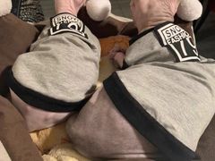 -喵zoo家庭繁育猫舍(尖东智能花园店)