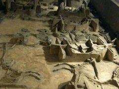 -洛阳周王城天子驾六博物馆