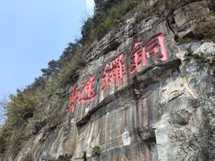 -铁山坪森林公园