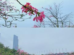 -海心沙亚运公园