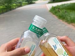 -国家植物园