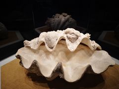 -贝林大翅鲸简餐厅(国家海洋博物馆店)