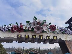 -贵州百里杜鹃风景名胜区