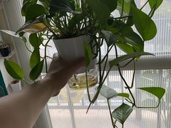 -李百蟹·江南蟹黄面(夫子庙店)