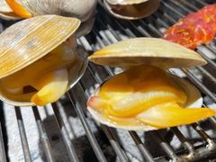 烤黄蚬子-丹东特色烤肉(学府路一部店)