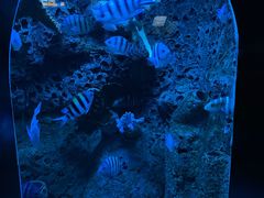 -太平洋海底世界