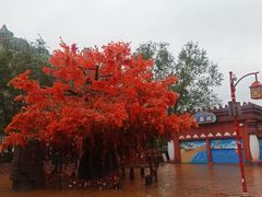 -郑州方特梦幻王国