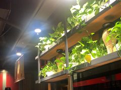 -辣尚瘾·烤鱼·新川菜(交大直营店)
