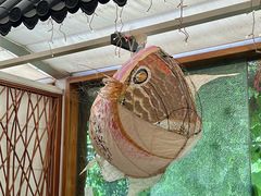 -谷咖啡·鲜花绿植花园餐厅