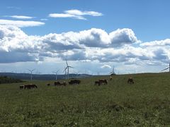-塞罕坝国家级自然保护区
