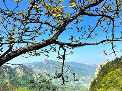 -沂蒙山旅游区云蒙景区(蒙山国家森林公园)