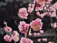 -南京雨花台风景区