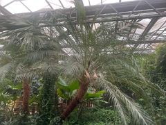 -金稼园·金平湖农家菜