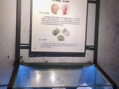 -贝壳梦幻世界