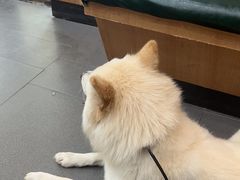 -联合动物医院(光谷诊疗中心)