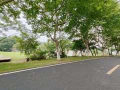 -宜兴龙背山森林公园