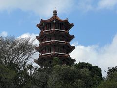 -深圳仙湖植物园