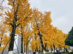 -两江幸福广场