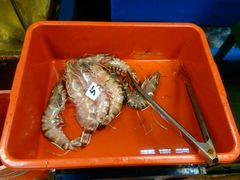 -ZF Seafood Restaurant 卓峰海鲜餐