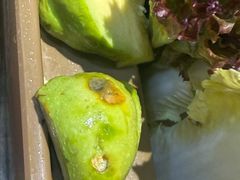 -手选潮汕鲜牛肉火锅(二七广场店)