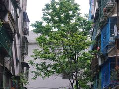 -一杯潮茶·专注潮汕茶饮(十二中创始店)