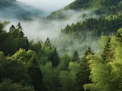 -午潮山国家森林公园