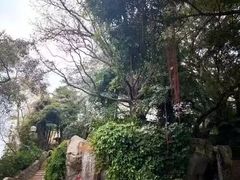 -九龙公园