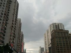 -禅悦素食