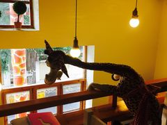 -长颈鹿咖啡(大学路店)