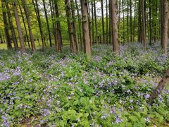 -共青国家森林公园-售票处