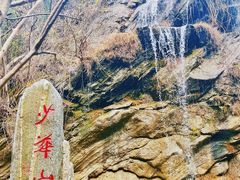 -少华山国家森林公园