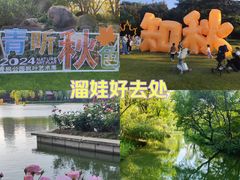 -青枫公园