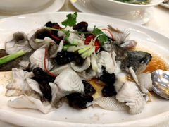 特色蒸宝石鱼-顺德人家食府(黄金广场店)