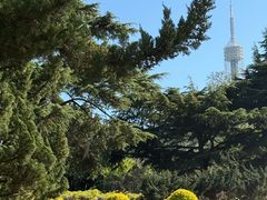 -富斯特索道