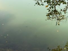 -凤岗南门山森林公园