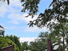 -棒棰岛宾馆景区