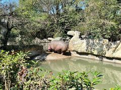 -宁波野生动物园