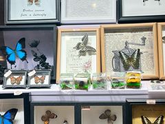 -丽达购物中心(崂山店)