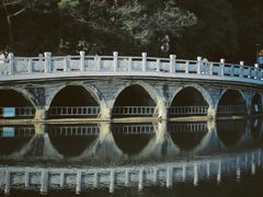 -深圳仙湖植物园
