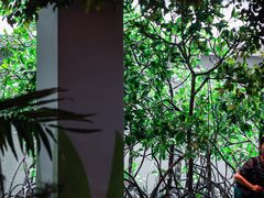 -中国湿地博物馆