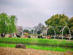 -径山花海
