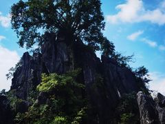 -玉石林风景区