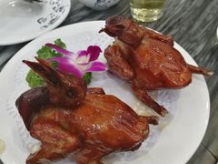 -鸽鸟轩(石岐店)