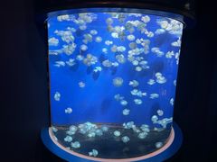 -鹿儿岛水族馆