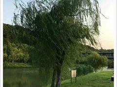 -瑶琳仙境