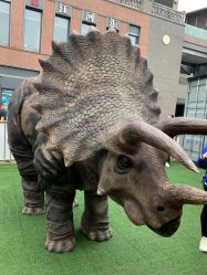 -恐龙探索乐园(磁器口店)