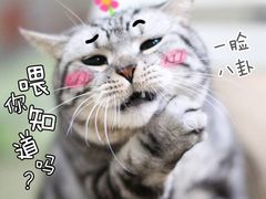 -老大昌(淮海中路店)